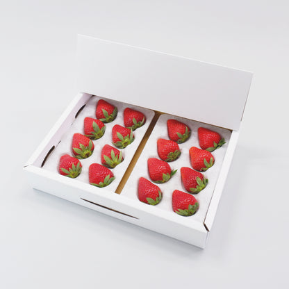 いちご用パック　いちごハンモックトレーの専用　化粧箱