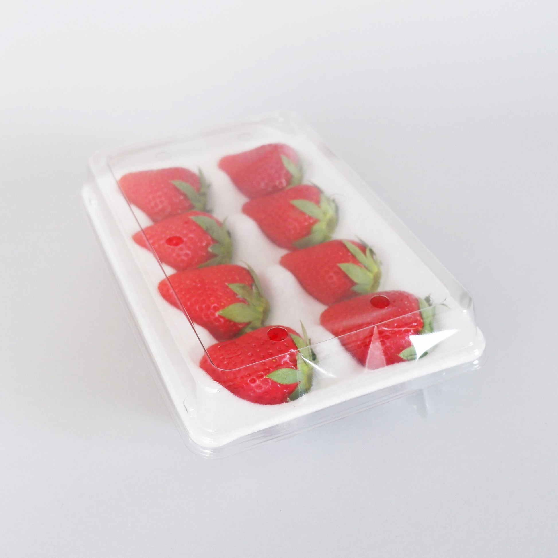 いちご用パック　いちごハンモックトレーの専用　蓋　使用例